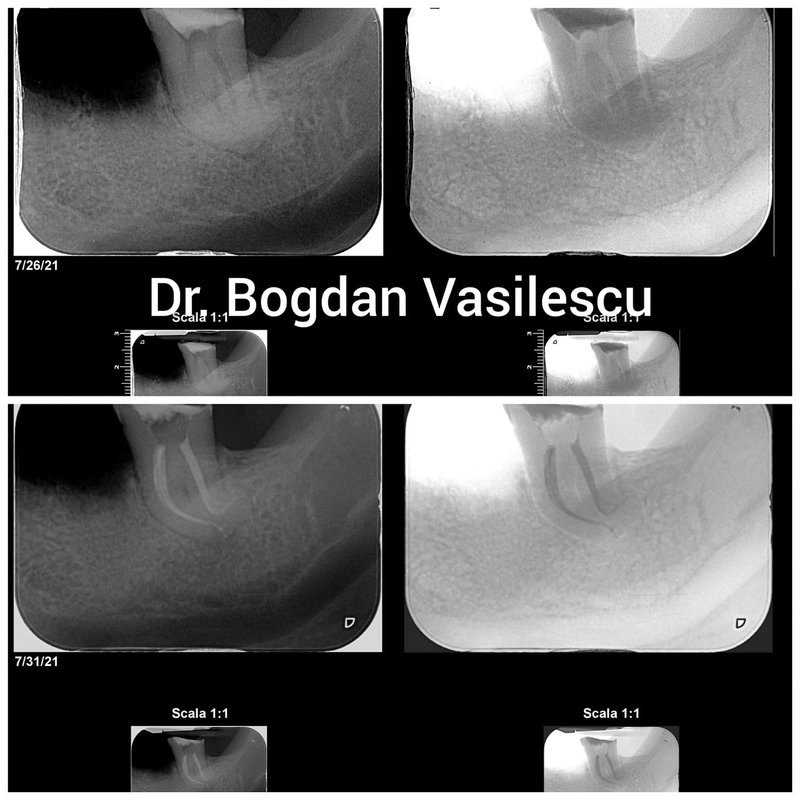 Clever Dental - Clinica Stomatologica